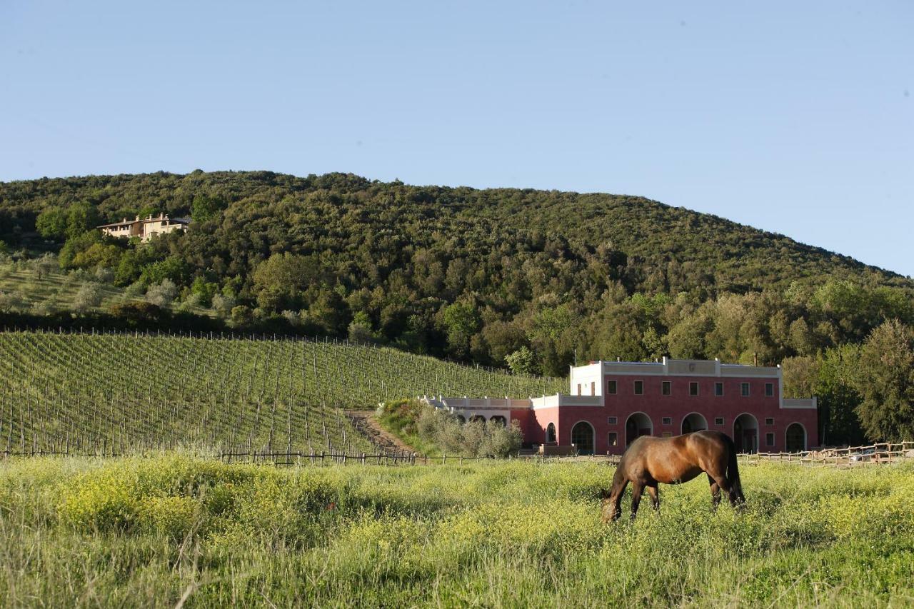 Tenuta Il Sassone - Wine&Food Massa Marittima Ngoại thất bức ảnh